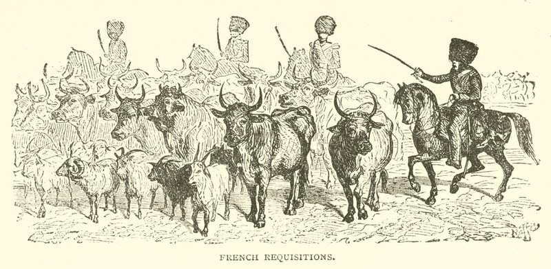 Requisiciones francesas de French School