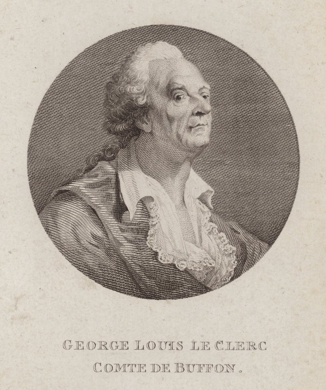 Georges-Louis Leclerc, Conde de Buffon, naturalista francés de French School