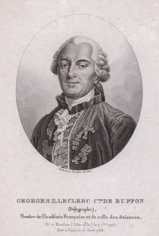 Georges-Louis Leclerc, Conde de Buffon, científico y escritor francés (grabado) de French School