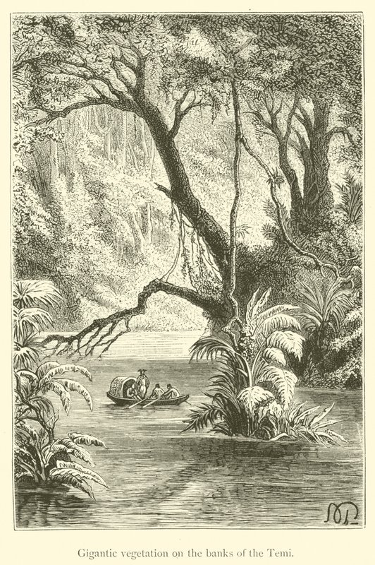 Vegetación gigantesca en las orillas del Temi (grabado) de French School