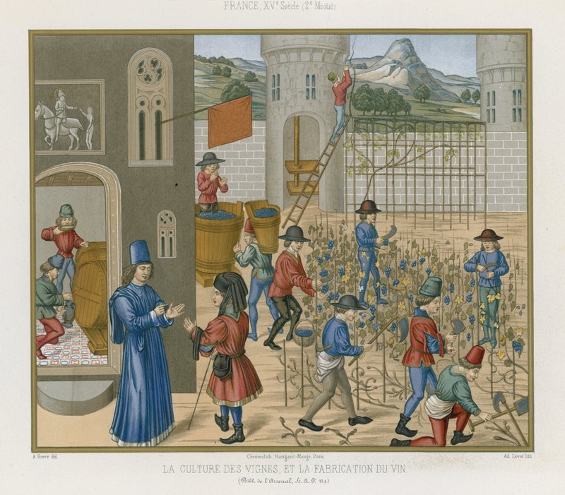 Cultivo de viñas y elaboración de vino de French School