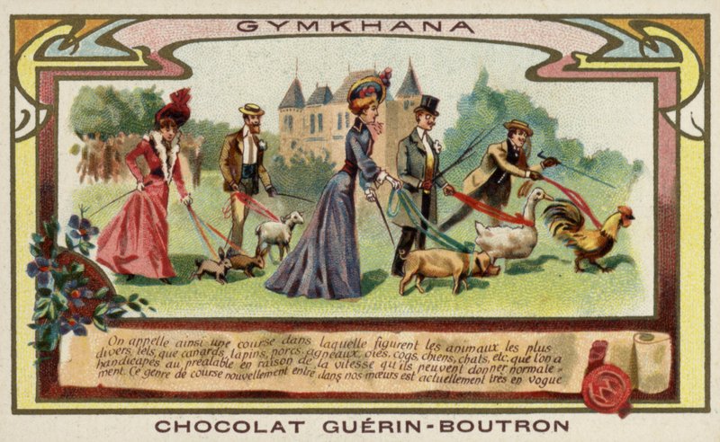 Gymkhana de French School