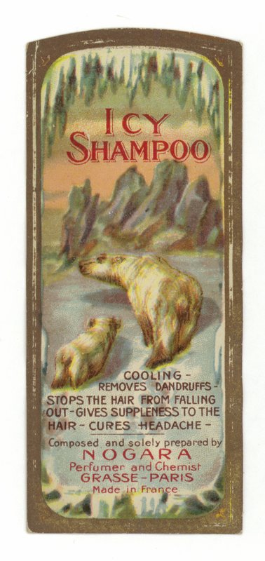 Icy Shampoo, etiqueta, Nogara de French School