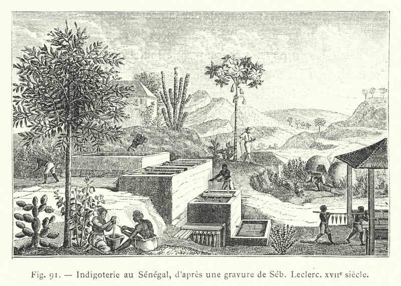 Indigotería en Senegal, según un grabado de Seb, Leclerc, siglo XVII de French School