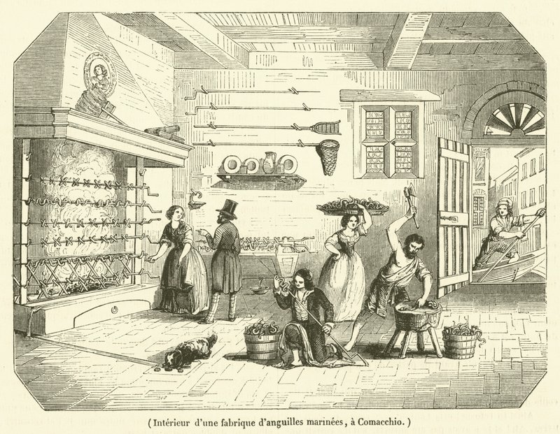 Interior de una fábrica de anguilas de mar en Comacchio (grabado) de French School