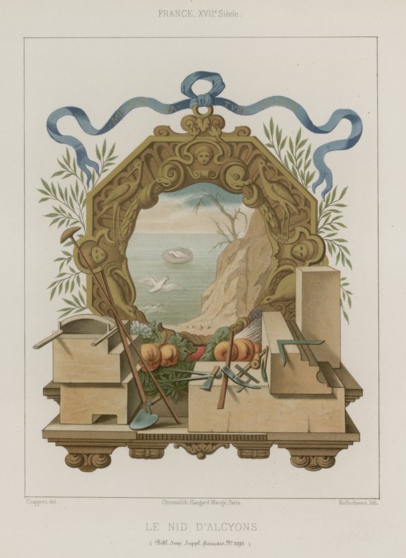 Nido de martines pescadores de French School