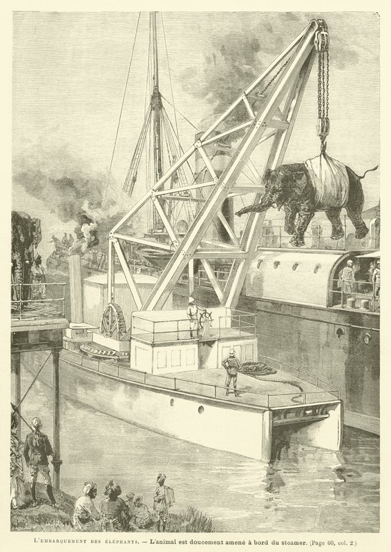 El embarque de los elefantes (grabado) de French School