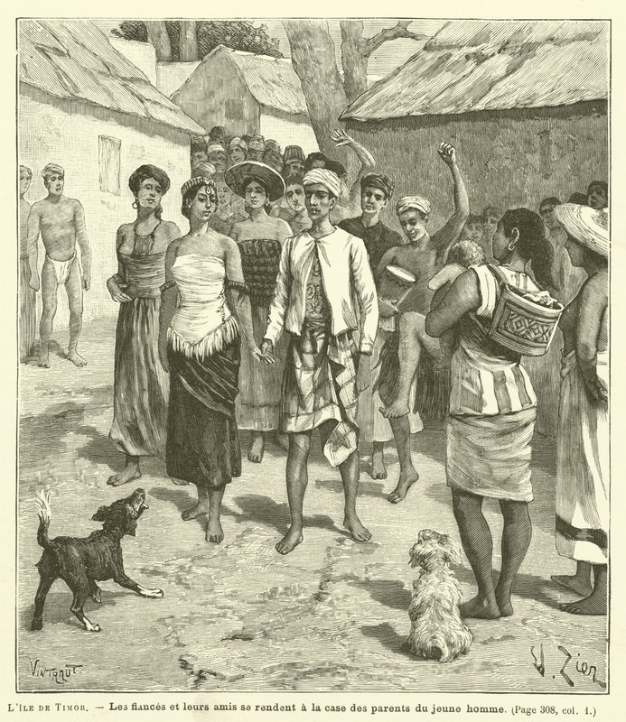 La isla de Timor de French School