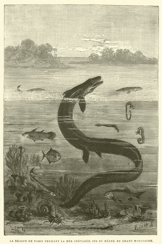 La región de París durante el mar cretáceo, fin del reinado del gran mosasaurio de French School