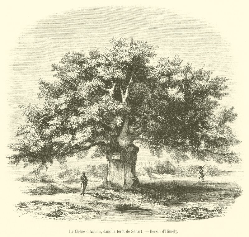 El roble de Antein, en el bosque de Senart de French School