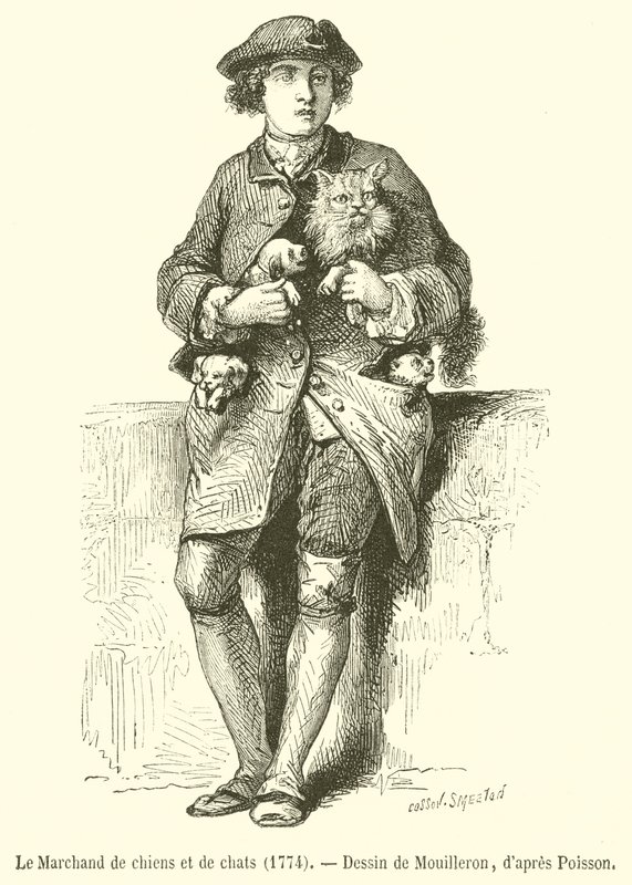 El comerciante de perros y gatos de French School