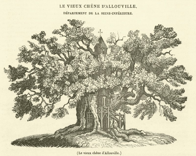 El viejo roble de Allouville de French School