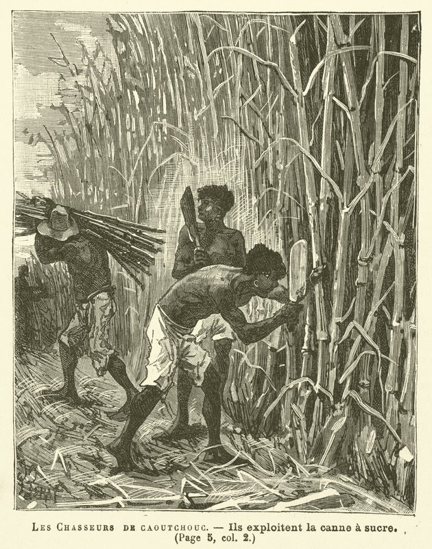 Los cazadores de caucho de French School