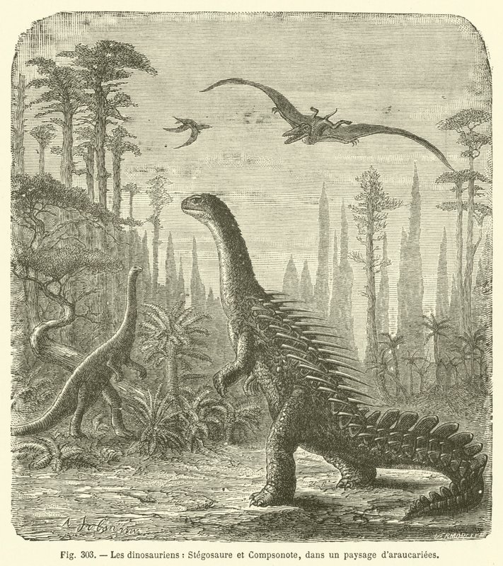 Los dinosaurios, Stegosaurio y Compsonote, en un paisaje de araucarias de French School