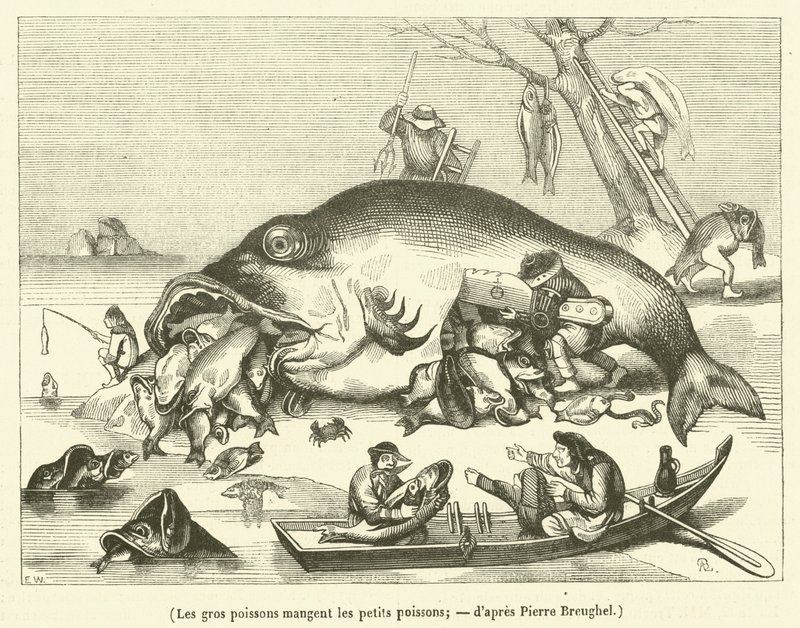 Los peces grandes se comen a los pequeños (engorde) de French School