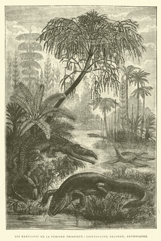 Los habitantes del período triásico, capitosaure, belodon, nothosaure de French School