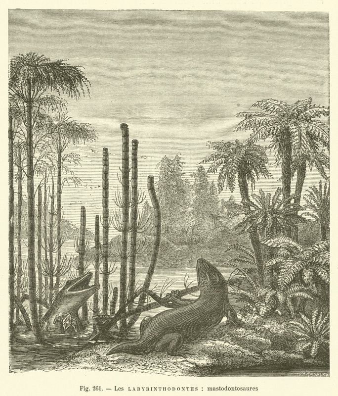 Los laberintodontes, mastodontosaurios de French School