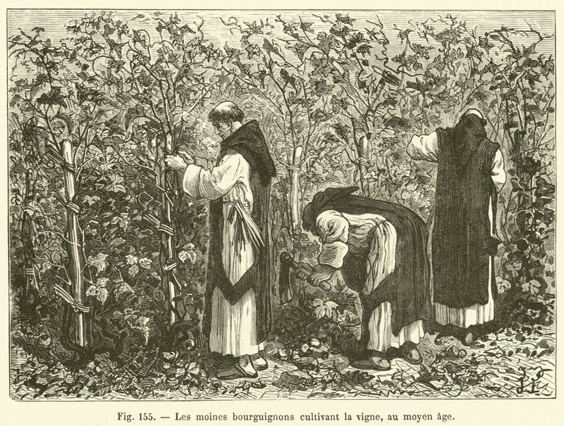 Los monjes borgoñones cultivando la vid, en la Edad Media de French School