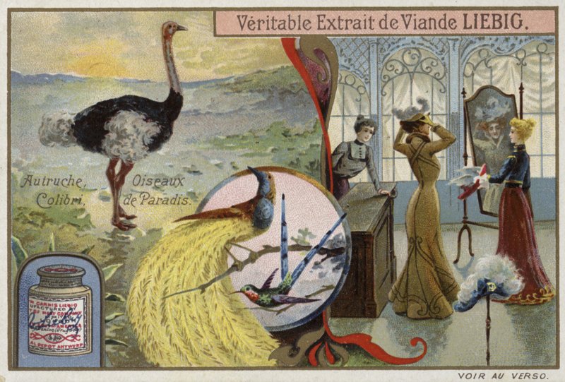 Tarjeta Liebig con imágenes de aves de French School