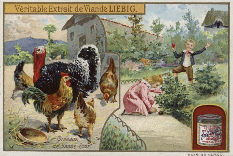 Tarjeta Liebig con aves de corral de French School