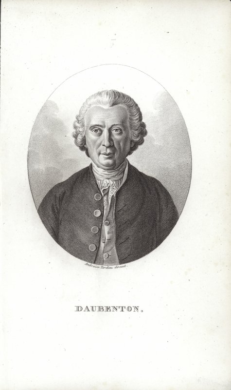 Louis-Jean-Marie Daubenton de French School