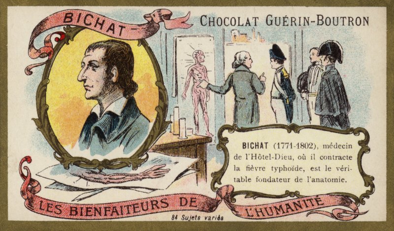 Marie Francois Xavier Bichat, fisiólogo y anatomista francés de French School