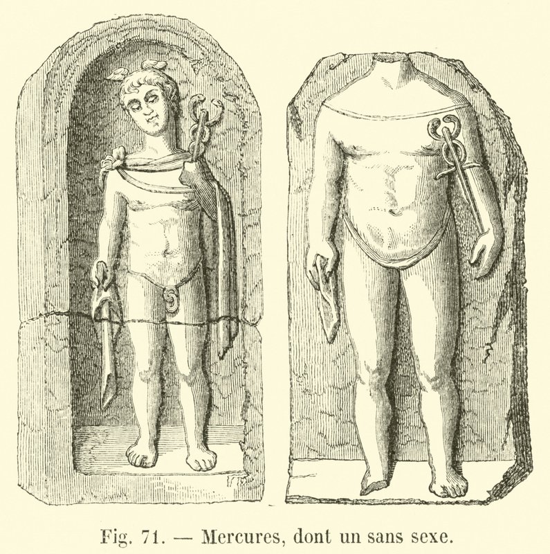Mercurios, uno sin sexo de French School