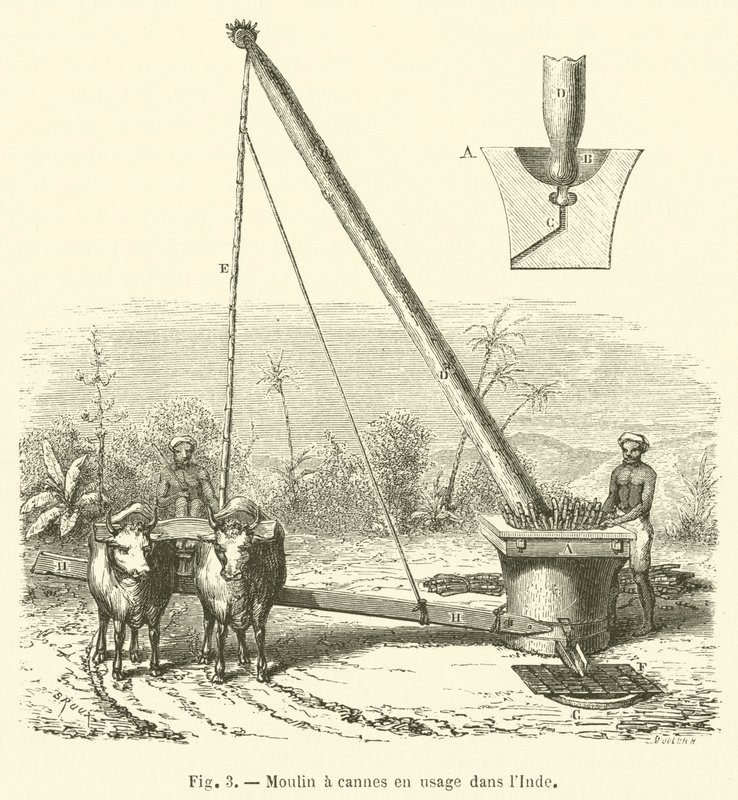 Molino de cañas en uso en la India de French School