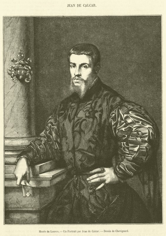 Museo del Louvre, Un retrato por Jean de Calcar de French School
