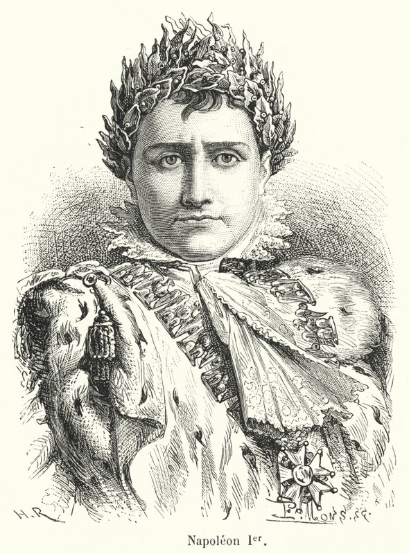 Napoleón I de French School