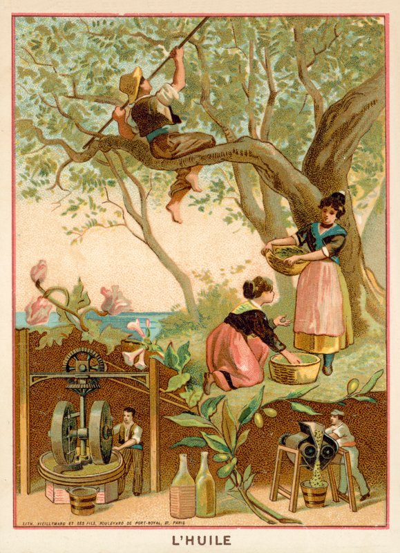 Aceite de oliva de French School