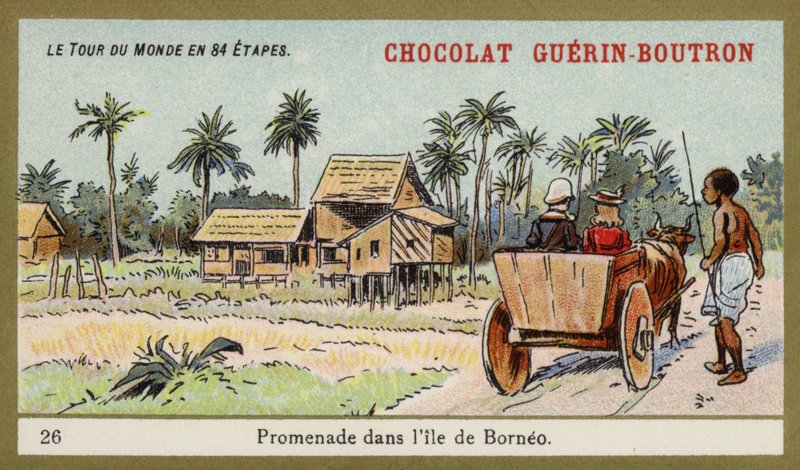 Paseo en carreta de bueyes en la isla de Borneo de French School