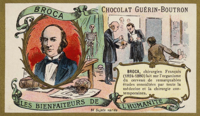 Paul Broca, médico, anatomista y antropólogo francés de French School