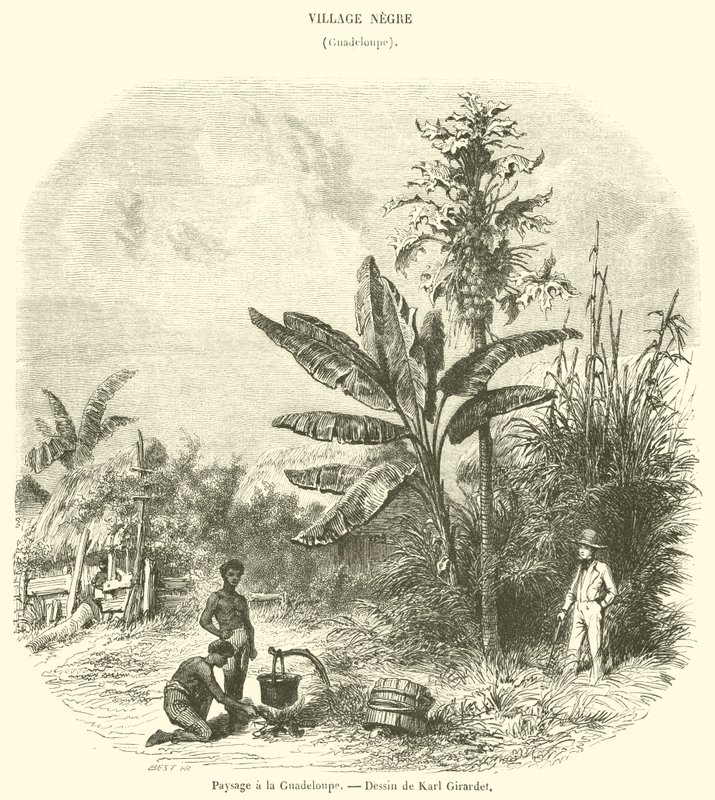 Paisaje en Guadalupe de French School