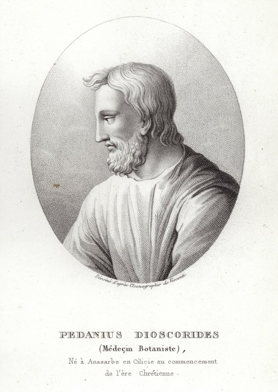 Pedanius Dioscorides de French School
