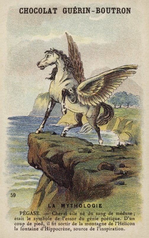 Pegaso de French School