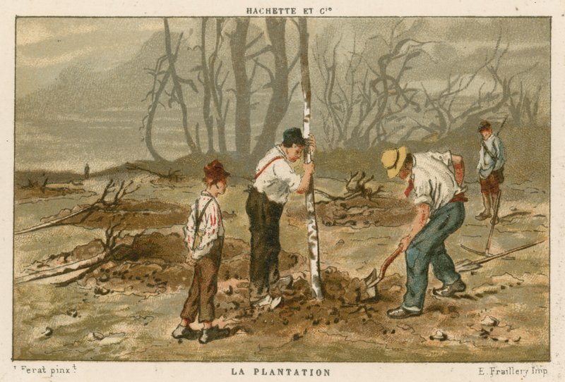 Plantación de árboles de French School