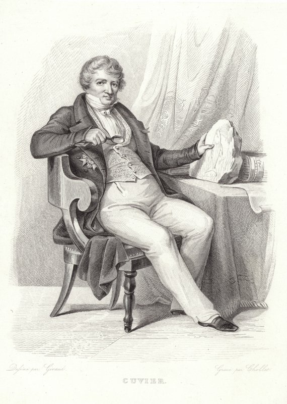 Retrato de George Cuvier de French School