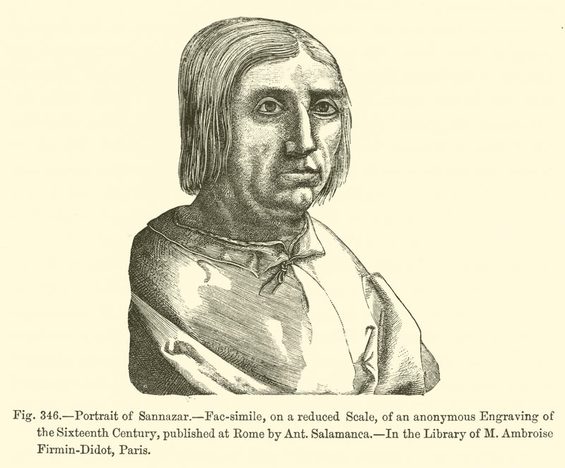 Retrato de Sannazar (grabado) de French School