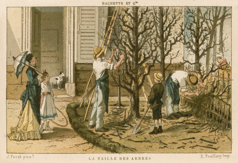 Poda de árboles de French School