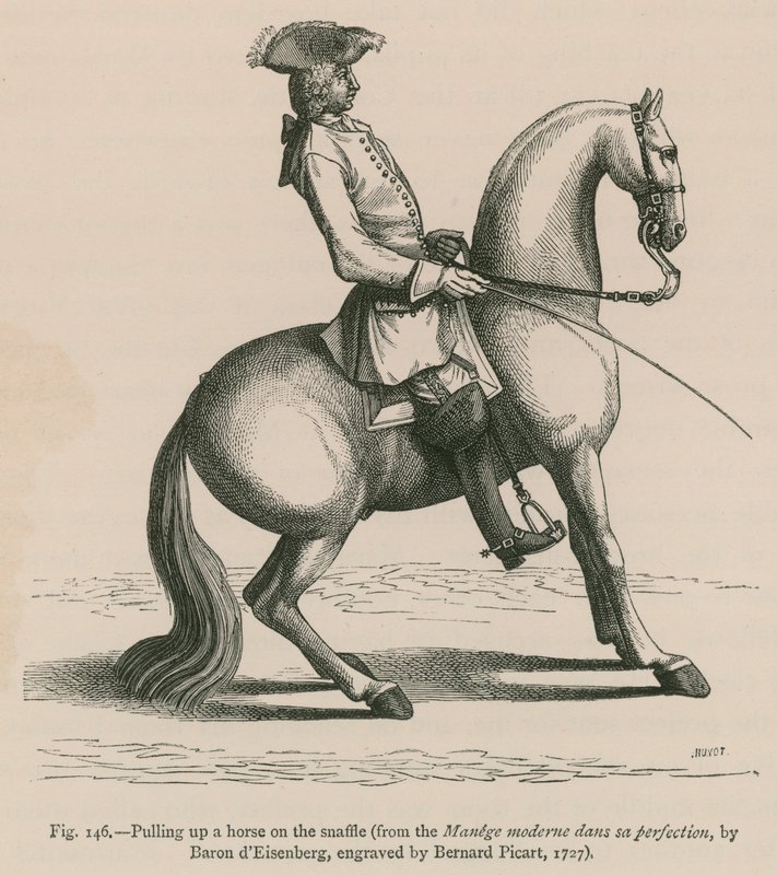 Deteniendo un caballo con brida (del Manege moderne dans sa perfection, por Baron d