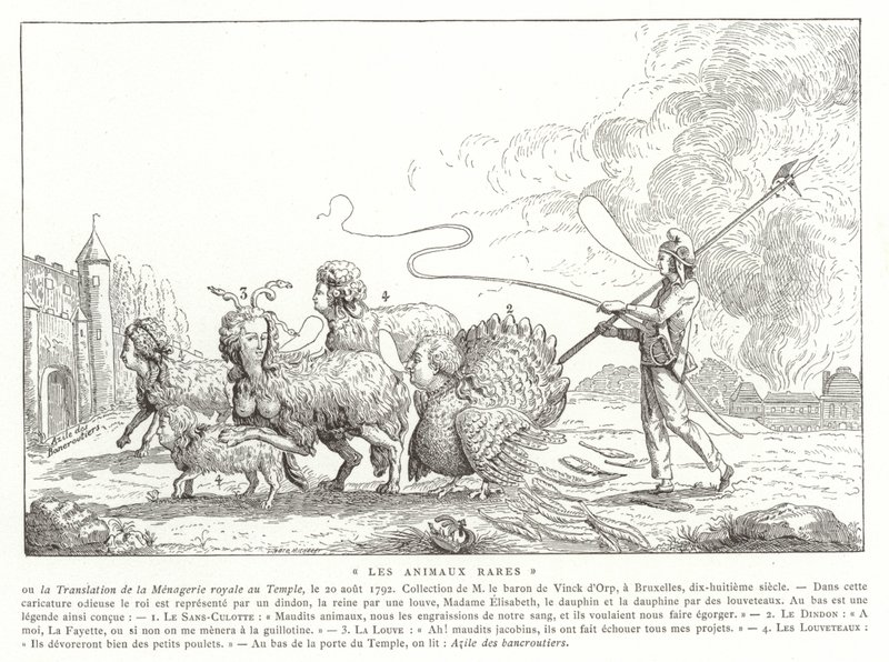 Animales Raros de French School