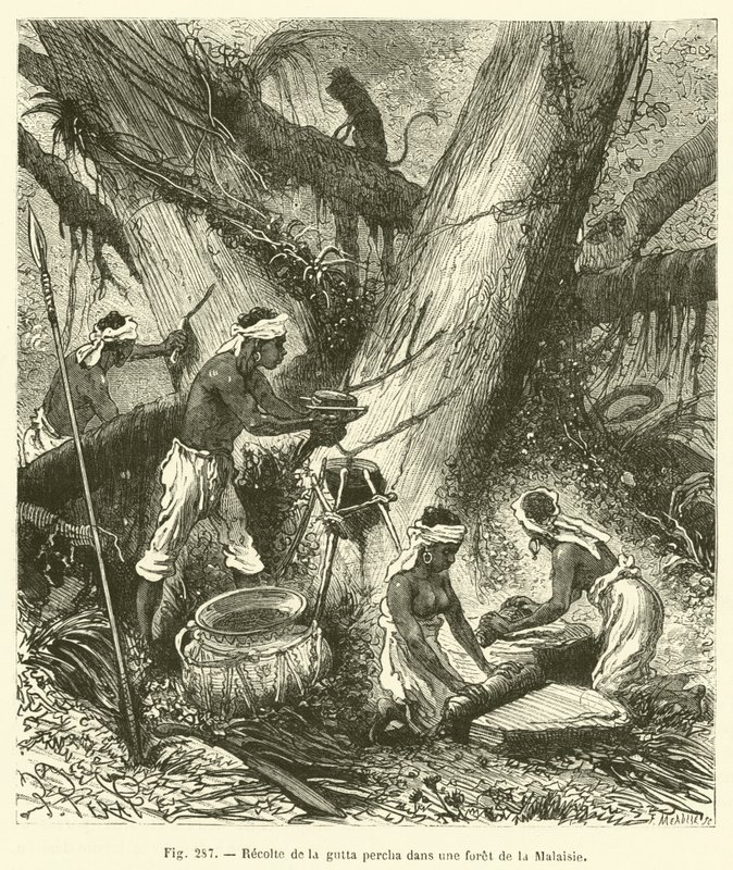 Recolección de gutapercha en un bosque de Malasia de French School