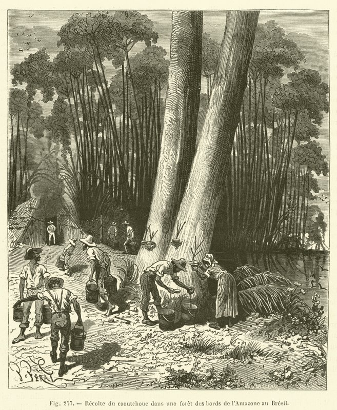 Recolección de caucho en un bosque a orillas del Amazonas en Brasil de French School