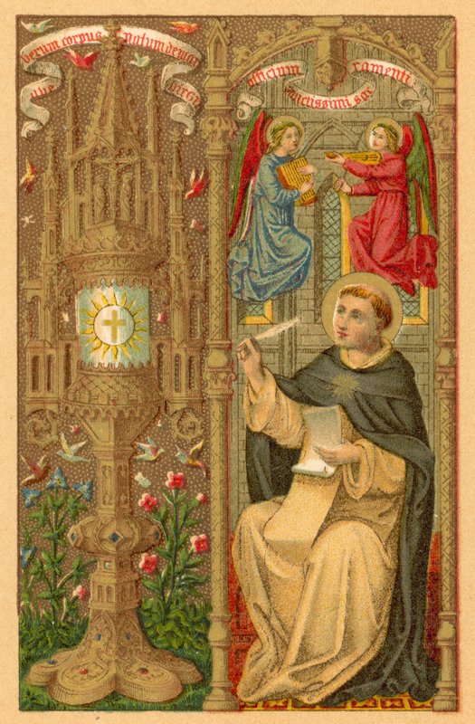 Santo Tomás de Aquino de French School