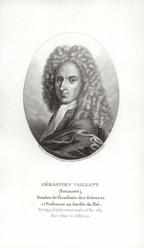 Sébastien Vaillant de French School