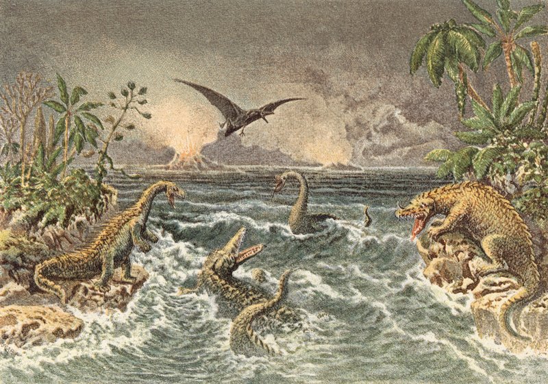 Escena del mundo primitivo durante el periodo secundario (litografía en color) de French School