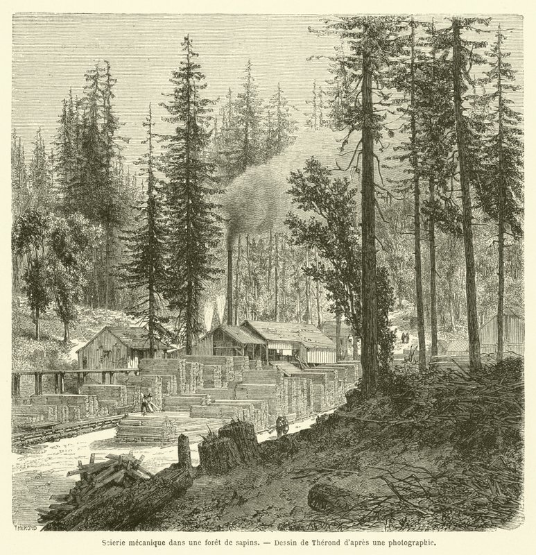 Aserradero mecánico en un bosque de abetos de French School