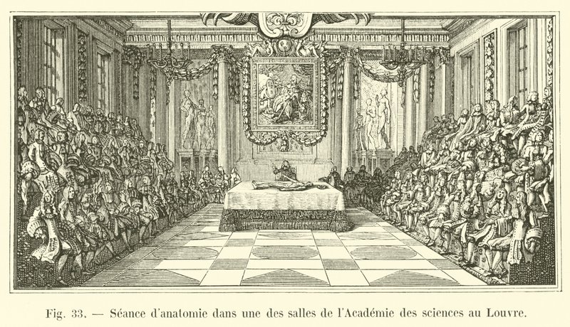 Sesión de anatomía en una de las salas de la Academia de Ciencias en el Louvre de French School