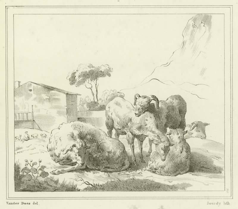 Ovejas en un paisaje de French School